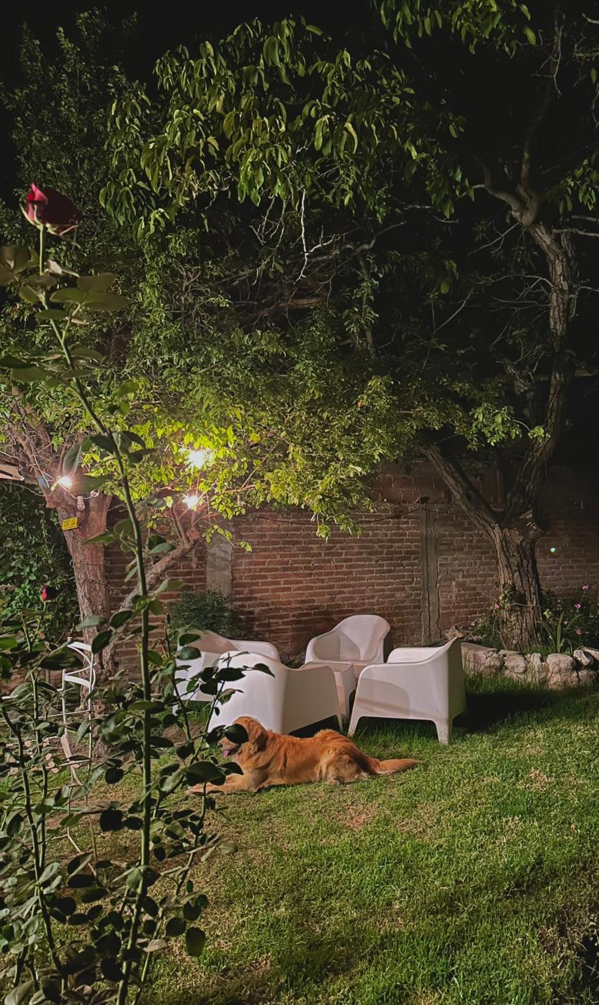 Casa Los Nogales Villa Cafayate Bagian luar foto