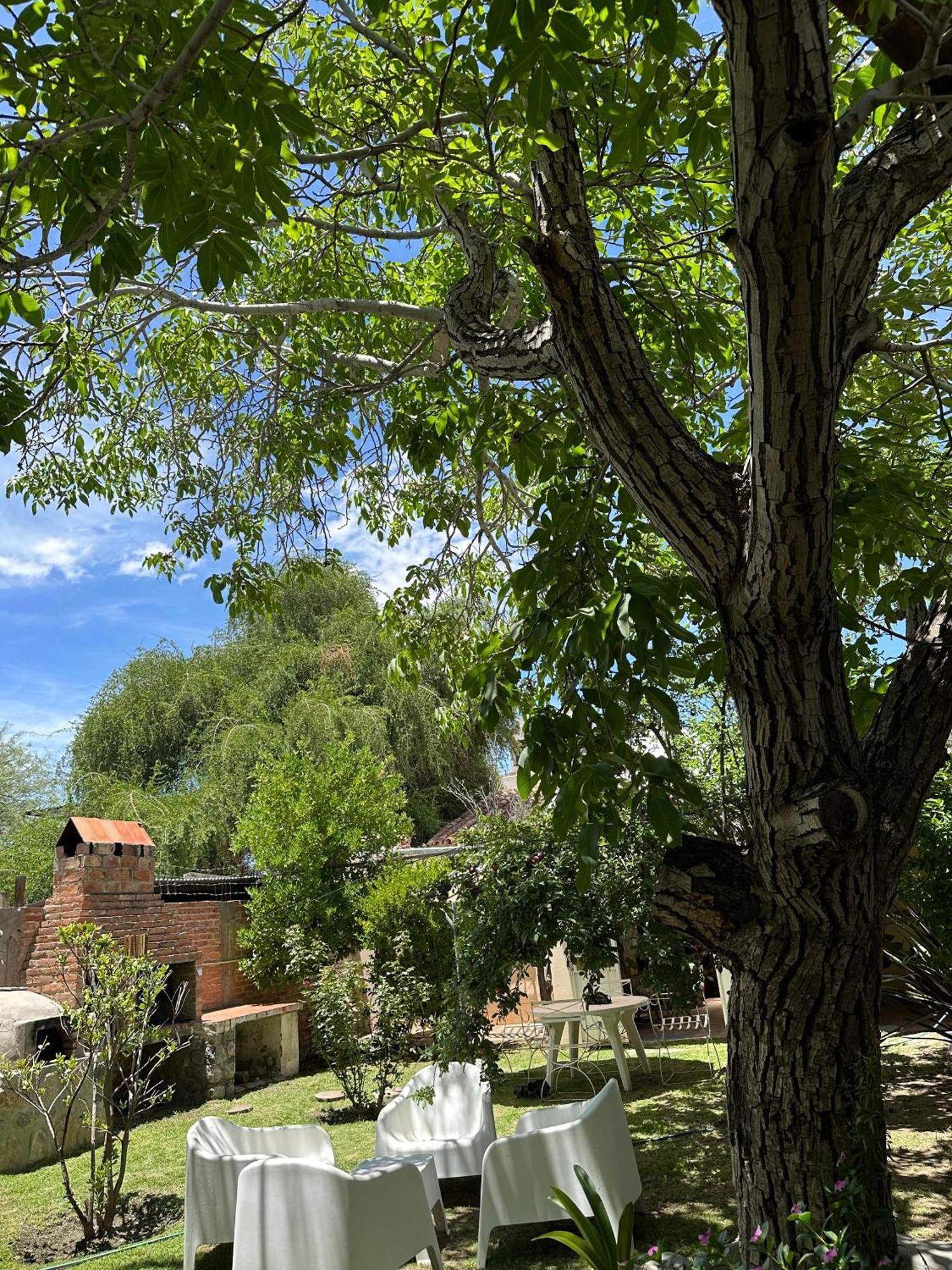 Casa Los Nogales Villa Cafayate Bagian luar foto